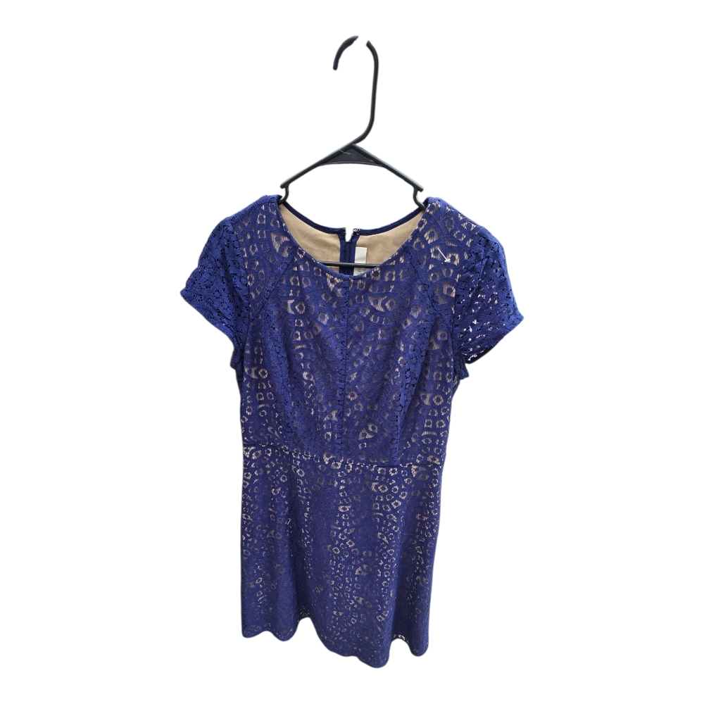LOFT Royal Blue Lace Dress
